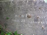 image of grave number 366167